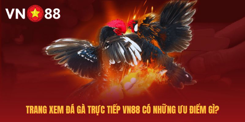 Trang xem đá gà trực tuyến VN88 có nhiều ưu điểm vượt trội